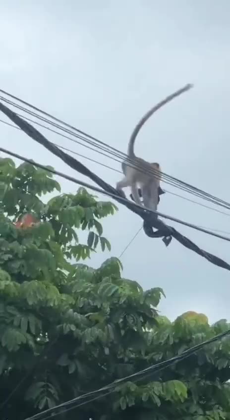 This raises lots of questions 😂😂