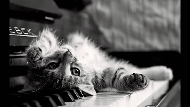 Relaxing piano - Relaxing piano music