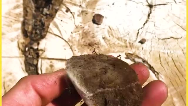 Strange moments caught on cam so horrifying