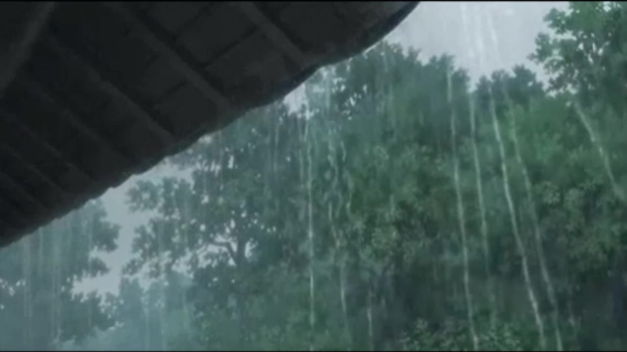 🔴 Roof rain to sleep deep sleep with heavy rain at night