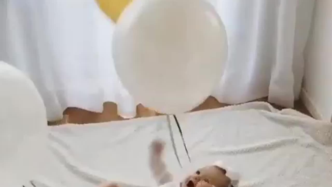 Cute Happy Baby