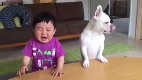 funny videos 2020 - Most funny DOG AND KIDS Videos 2017