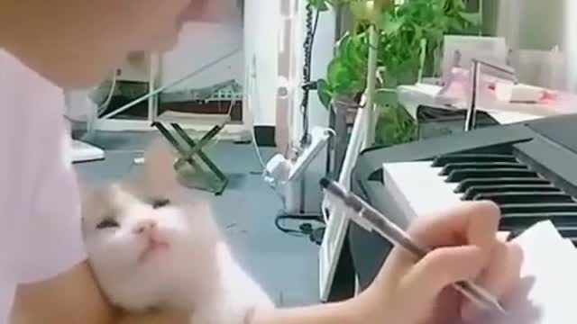 A loving cat