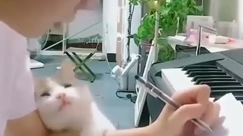 A loving cat