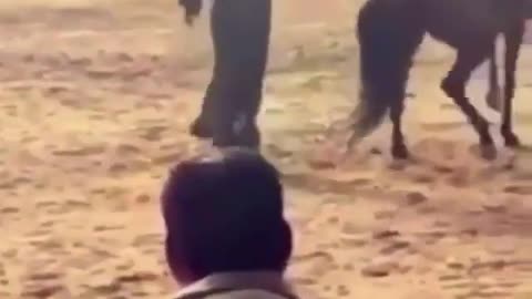 An amazing but hurting kick by a horse