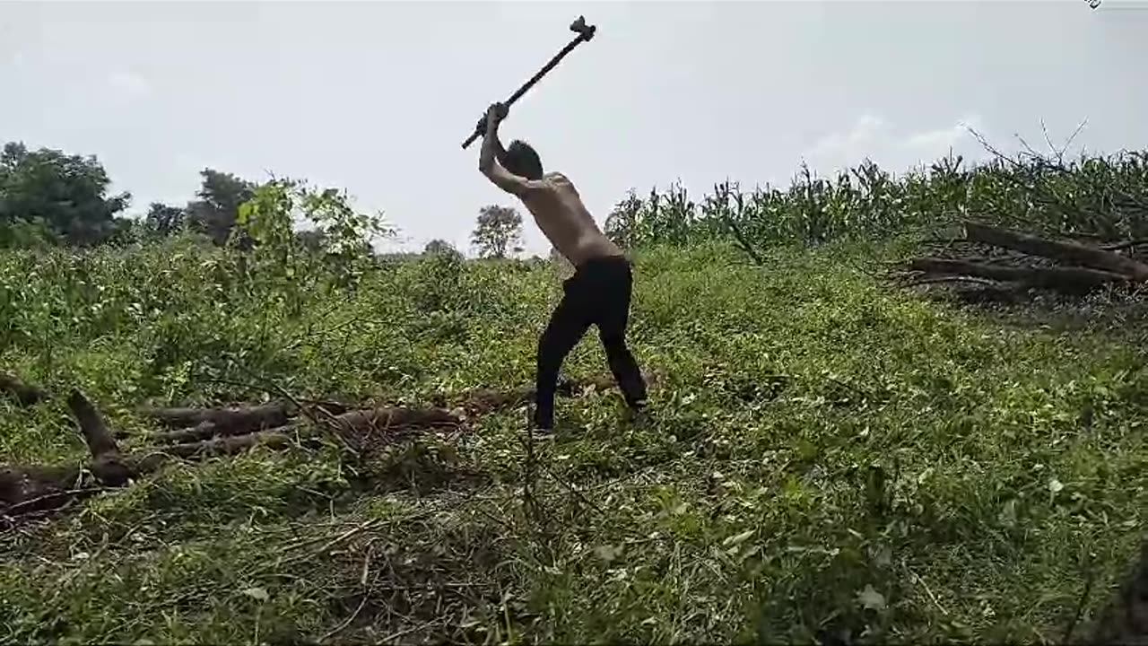 Desi gym