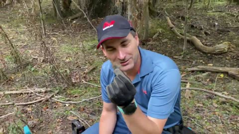 Metal Detecting Bottles Coins & Relics