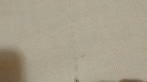 ΕΤΟΙΜΕΣ ΟΙ ΕΝΕΣΕΙΣ ΓΙΑ ΤΟΥΣ ΨΕΥΔΟΠΡΟΦΗΤΕΣ - ΑΠΑΓΩΓΗ ΚΑΙ ΕΓΚΛΕΙΣΜΟΣ ΜΕΧΡΙ ΝΑ ΜΕΤΑΝΟΗΣΟΥΝ