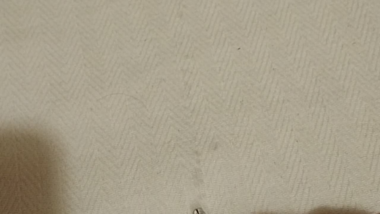 ΕΤΟΙΜΕΣ ΟΙ ΕΝΕΣΕΙΣ ΓΙΑ ΤΟΥΣ ΨΕΥΔΟΠΡΟΦΗΤΕΣ - ΑΠΑΓΩΓΗ ΚΑΙ ΕΓΚΛΕΙΣΜΟΣ ΜΕΧΡΙ ΝΑ ΜΕΤΑΝΟΗΣΟΥΝ