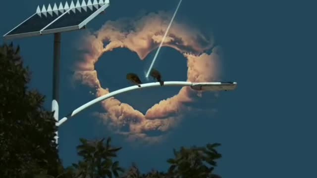 Best song nature whatsapp status || Nature WhatsApp status || Nature love whatsapp status #shorts