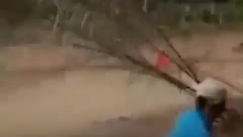 This is a beautiful and charming water-dwelling species