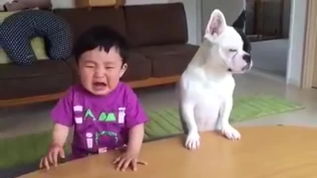 Most funny dog and kids video