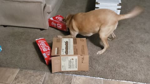 Brodie loves Coca-Cola lmfao