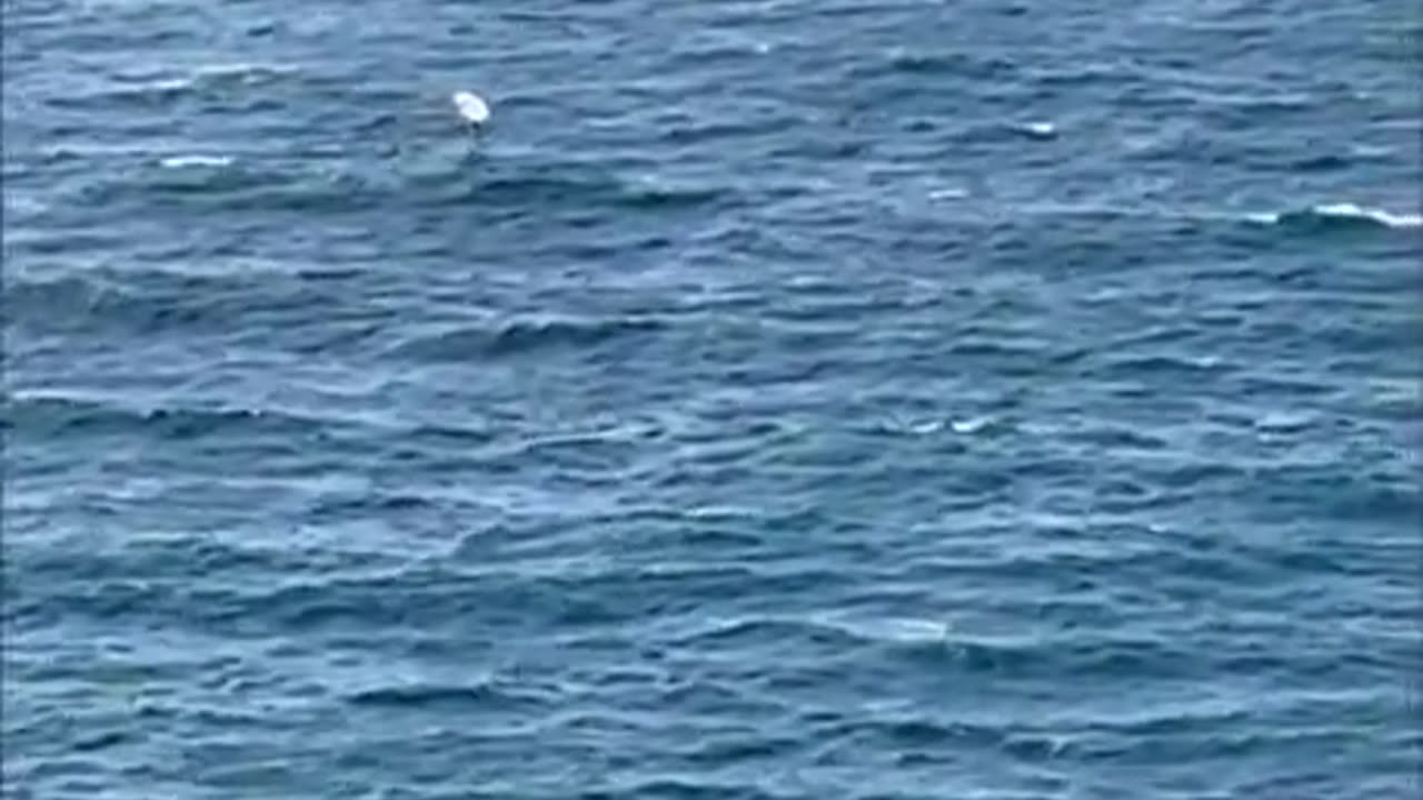 What are the odds