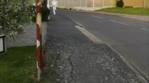 Stormtrooper Walks Dog During Quarantine