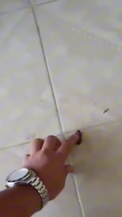 The end 🤣😂🤣 #shorts #funnyvideos #Funny #fails