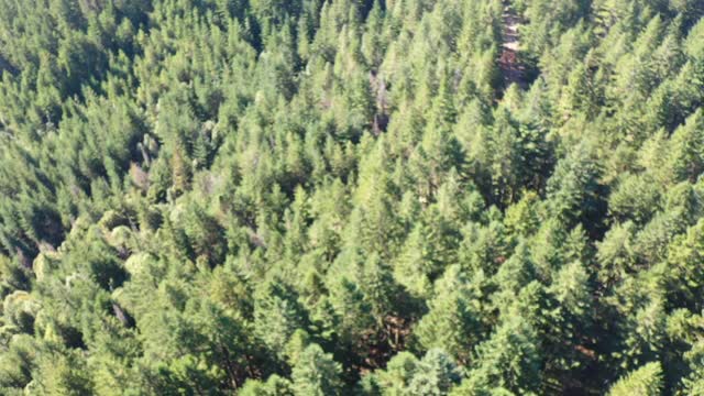 Six Rivers National Forest - Flying In and Above the Clouds