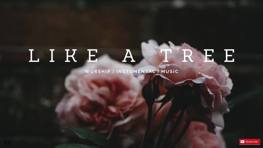 2 Hours-Instrumental Worship Music _ LIKE A TREE _ Prophetic Worship _ Prayer and Meditation-(480p)