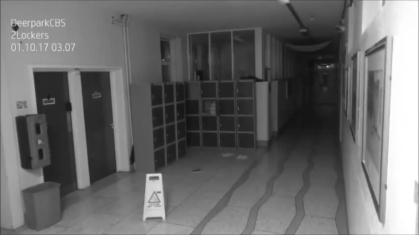 Security camera caught Ghost