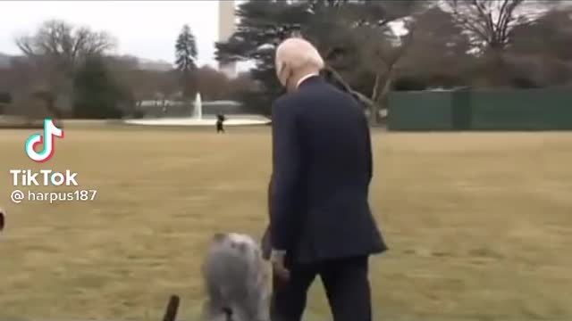 Even 12 knows whats up