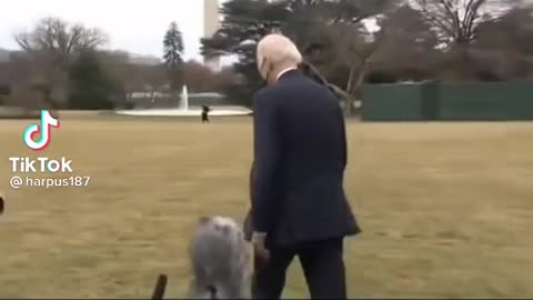 Even 12 knows whats up