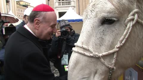 Incredible animal blessing (daddy)