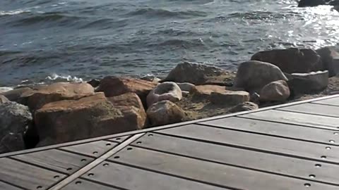 Det blåser friskt vid havet öresund. Helsingborg 22 Aug. 2012