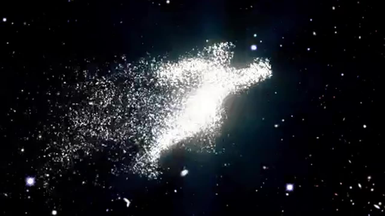 Trump 2024 and Beyond