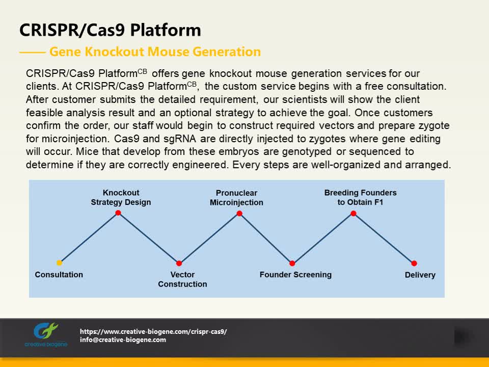 CRISPR/Cas9 Technology