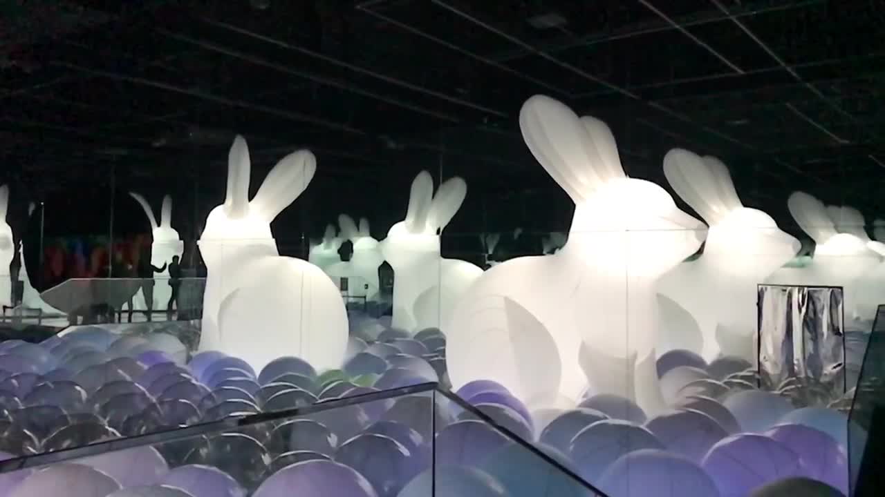 Huge rabbit