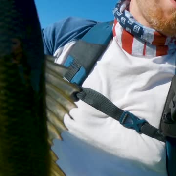 Ever Fished the Pop 'n Drop for Largemouth Bass? #short