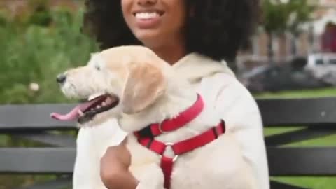 Cutest & Funniest dog Compilation Video