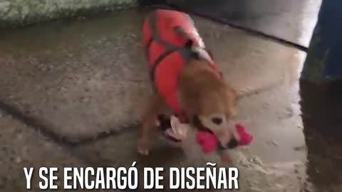 Molly sufrió serias deformaciones en su cuerpo, Tras ser rechazada su destino cambió