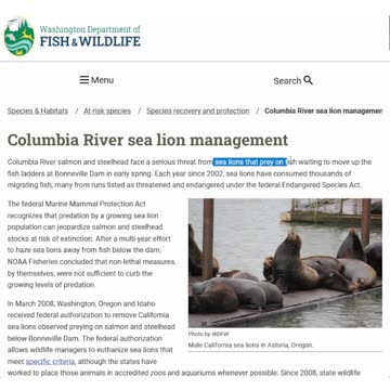 Why I'm Going Vegan #veganrules