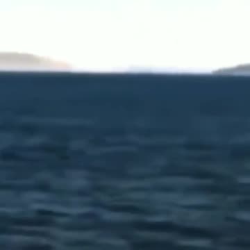 ✅All credits go to their respective owners of text, publication, creation and art.