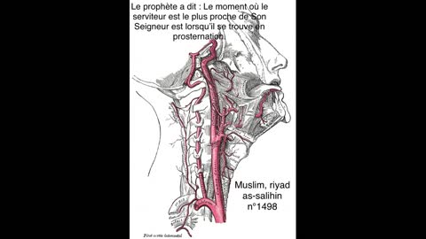 Ahmed Moualek : Je suis plus prêt de vous que votre veine jugulaire !!! S.50 Qâf v.16