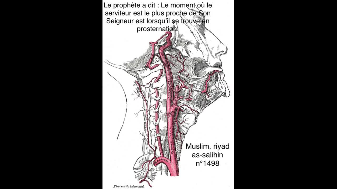 Ahmed Moualek : Je suis plus prêt de vous que votre veine jugulaire !!! S.50 Qâf v.16