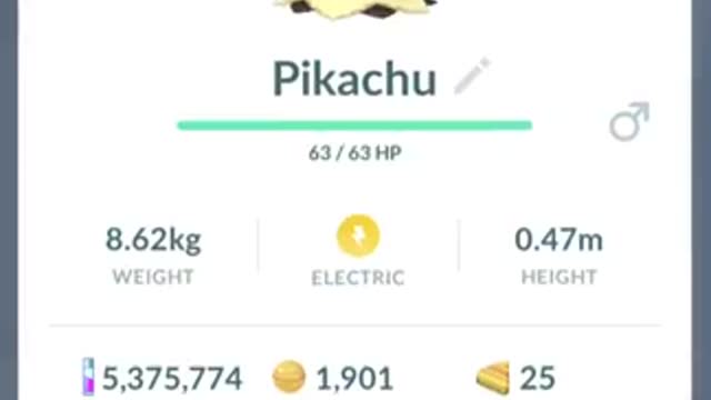 Pokémon GO-Mimikyu Costume Pikachu