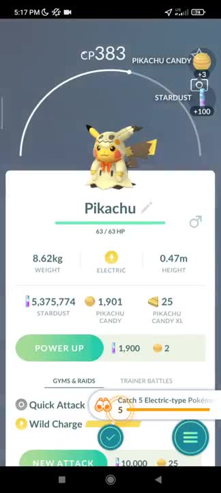 Pokémon GO-Mimikyu Costume Pikachu