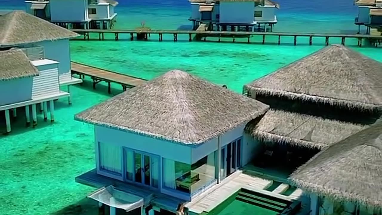 Maldives Resort #travel #viral #shorts