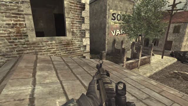 Angry Dogs Getting Owned COD4