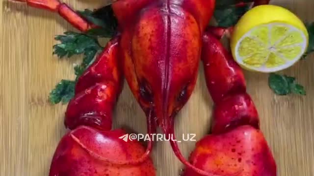 𝕊𝕦𝕡𝕖𝕣 𝔹𝕖𝕤𝕥 𝕥𝕠𝕣𝕥 𝟚𝟘𝟚𝟚 ℙ𝕣𝕖𝕞𝕚𝕦𝕞