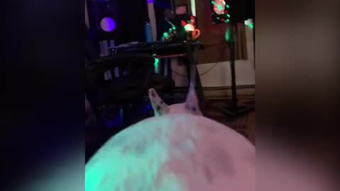 Dancing dog trying to impress us, we should watch this