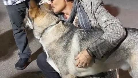 Johnny Depp And His Dogs