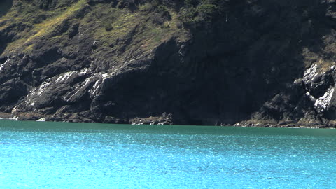 Port Orford Dock Views