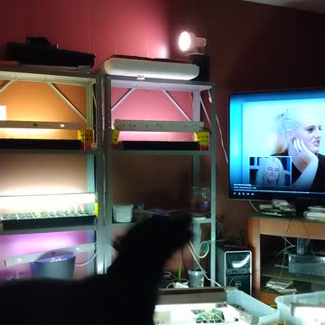 Having some Luci Lu fun