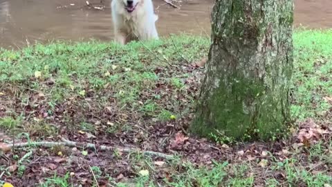 Samson Clearing Out 'Dangers' from the Creek for Me!