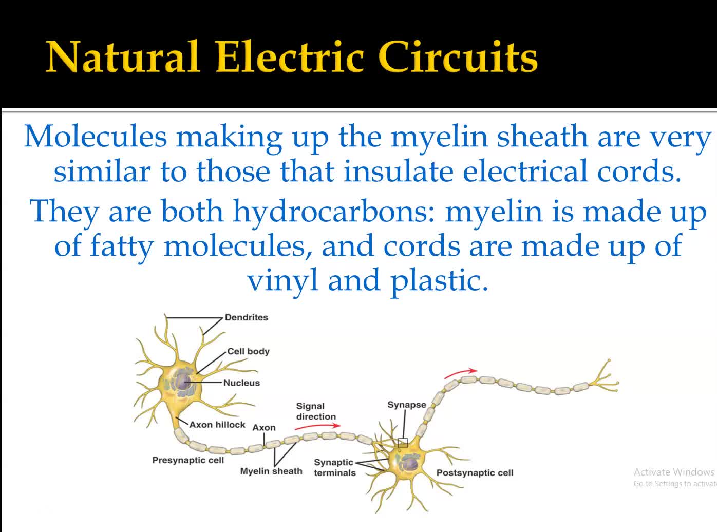 Conceptual Physics Section 12.1