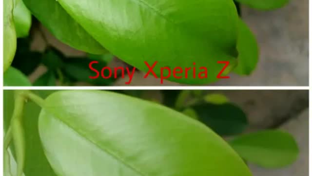 Camera test Sony Xperia Z vs Micromax Canvas infinity (13MP) test picture quality Sony vs Micromax