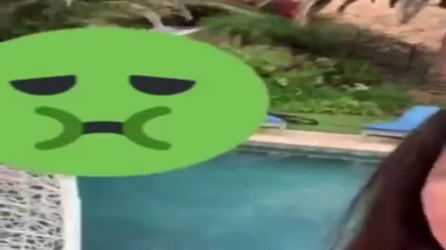 Sleazy greasy hunter Biden